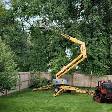 Mulching Services in Luck, WI